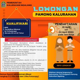 Sosialisasi Penjaringan dan Penyaringan Pamong Kalurahan Ngalang